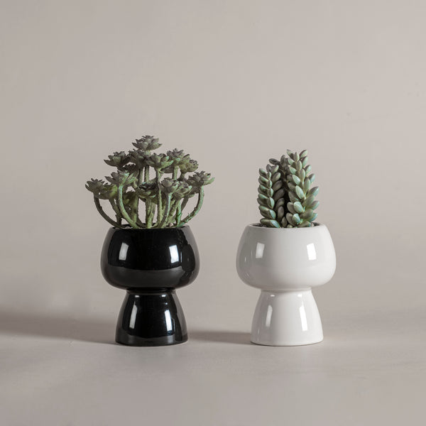 Set De Macetas Praga